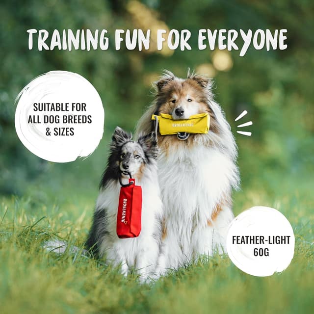 Thumbnail 5 de Rudelkönig Apportable Robuste, jouet pour chien