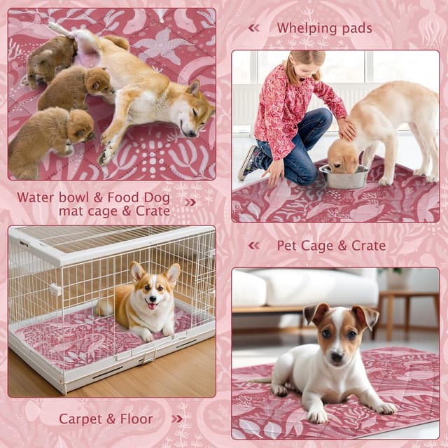 Thumbnail 3 de BVAGSS XH081 76x50cm Tappetini assorbenti per cani 🐾