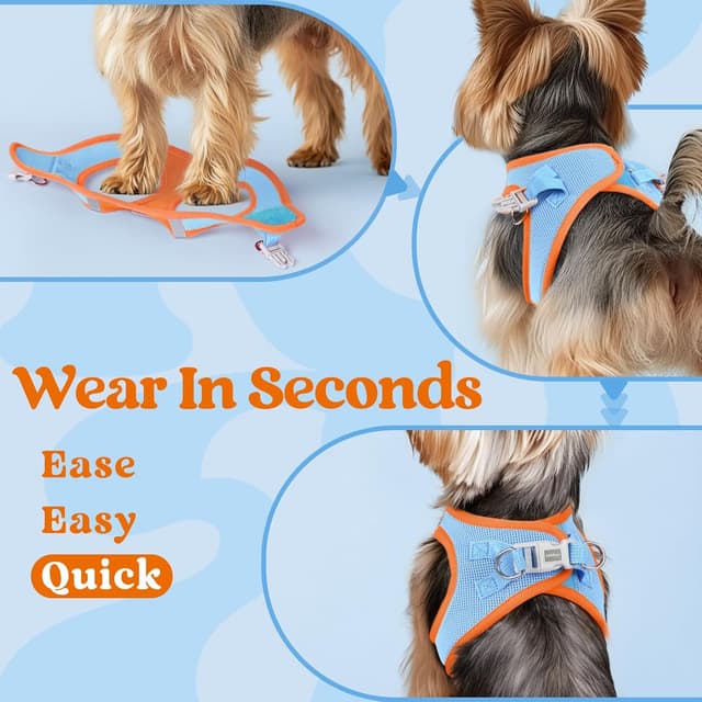 Detalle de rabbitgoo Dog Harness (Small Dog) Step-in Soft Mesh Puppy Harness with Reflective Strips, Blue & Orange, M