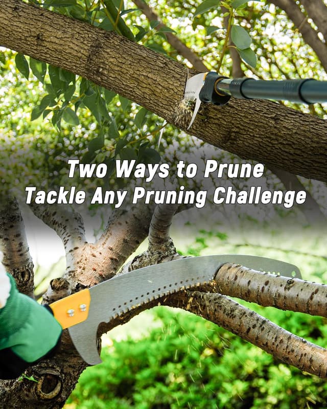 Detalle de BlumeTrec pole saw 434cm for pruning