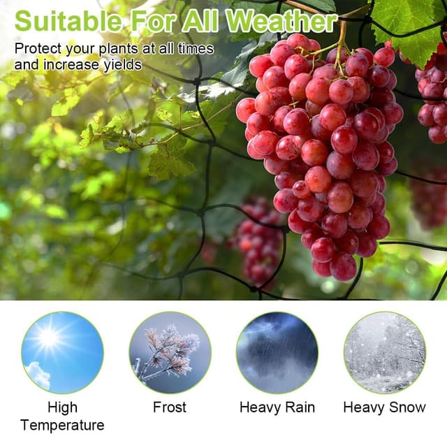 Thumbnail 3 de OFFCUP Rete elastica a traliccio 60x60 cm