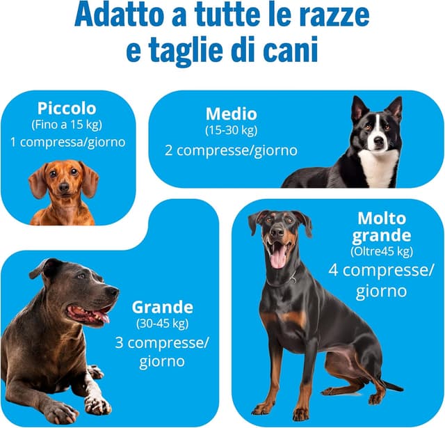 Thumbnail 6 de JOINTSURE Integratore articolazioni cane 300 compresse