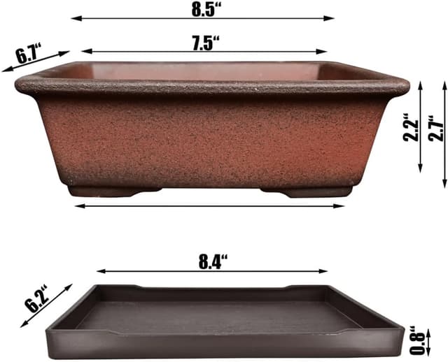 Detalle de MUZHI vaso bonsai in ceramica 21 cm