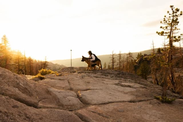 Thumbnail 20 de Gopro MAX2 8K mit Extension Pole