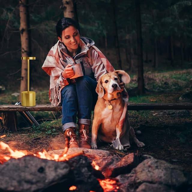 Detalle de TBBGA TBBGA LED Cordless Table Lamps (Gold) — Portable Rechargeable, 3-Level Dimmable LED