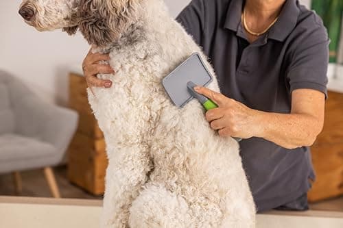 Detalle de WAHL Carda Grande 140 g