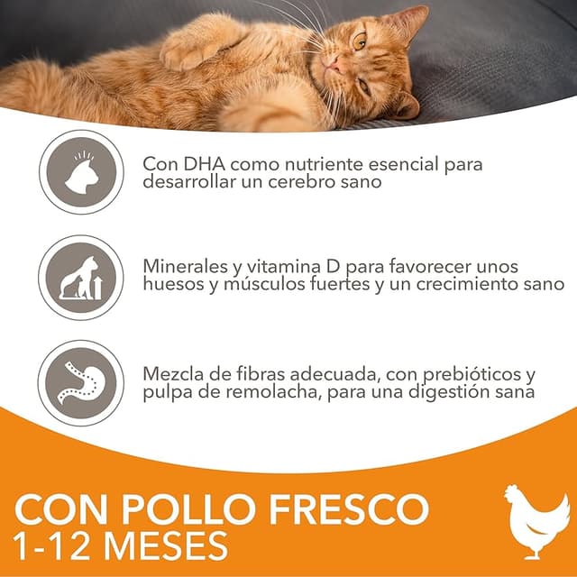 Detalle de IAMS Alimento seco para gatitos 3 kg 🐱