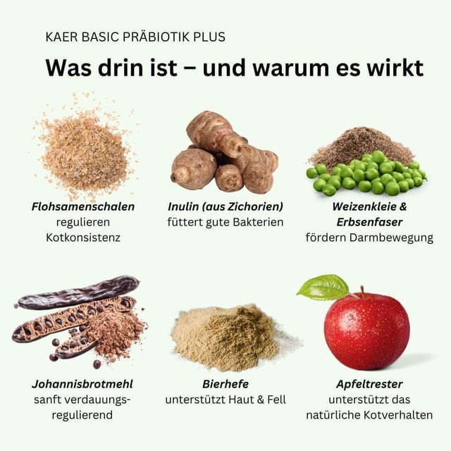 Detalle de kaer basic Präbiotik Plus Pulver für Hunde (2×200 g) – Probiotika-Unterstützung für die Darmflora