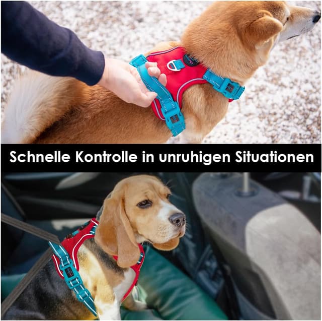 Detalle 2 de PHOEPET Anti-Zug Hundegeschirr verstellbar für Hunde