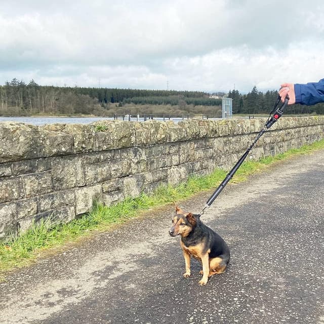 Thumbnail 5 de GoBuyer Dog Car Headrest Seat Belt 2-pack