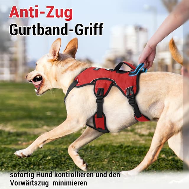 Detalle de rabbitgoo ausbruchssicheres Hundegeschirr (mittelgroße Hunde) mit Griff – verstellbar, gepolstert, reflektierend