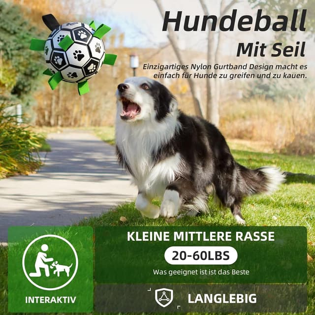 Thumbnail 1 de HETOO Hundeball Ball mit Seil 6 Zoll