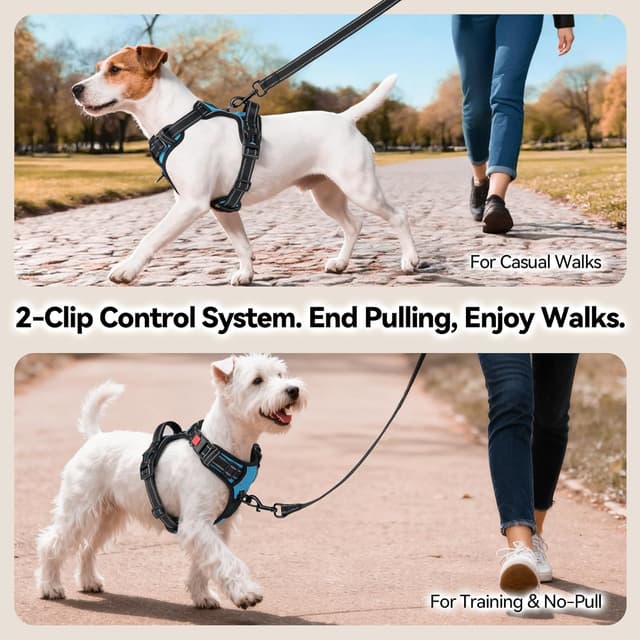 Detalle 2 de PHOEPET No Pull Dog Harness with Neck Buckle, Reflective Strips and Grab Handle (Blue, M)