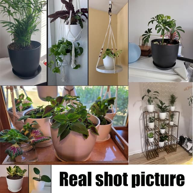 Thumbnail 6 de PROFIKLA Plastic Plant Pots Set 3 — 20cm