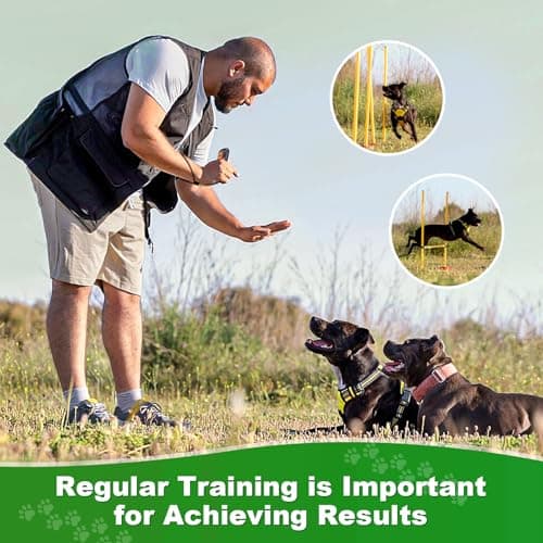 Thumbnail 7 de Honey Paws Anti Barking Device 50ft