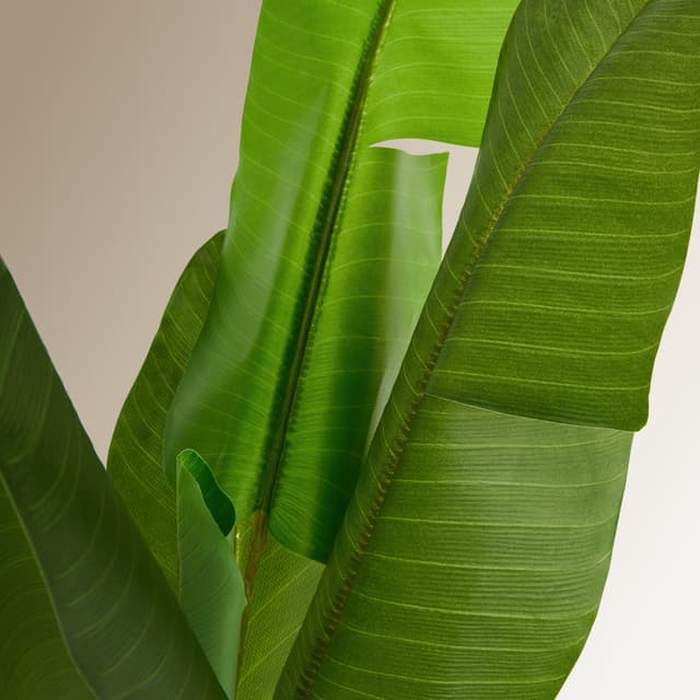 Thumbnail 1 de El Corte Inglés Árbol banano 130 cm