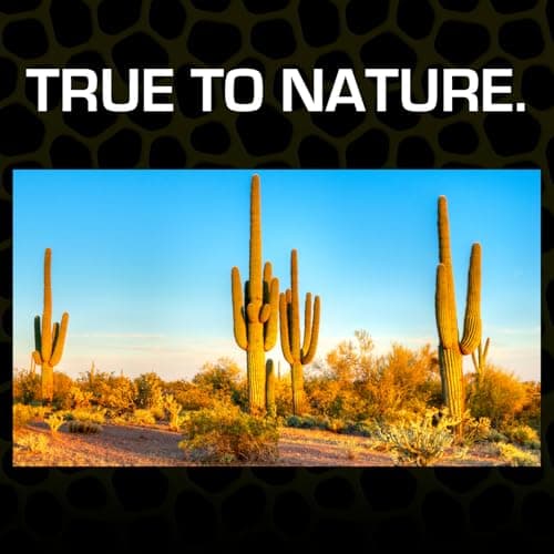 Thumbnail 3 de Exoterra Arena del Desierto 4,5 kg 🐾