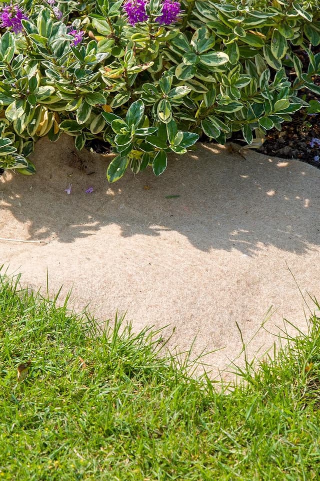 Thumbnail 3 de Cordeline Rollo de Fieltro Natural de Yute 1000 g/m² 🌱