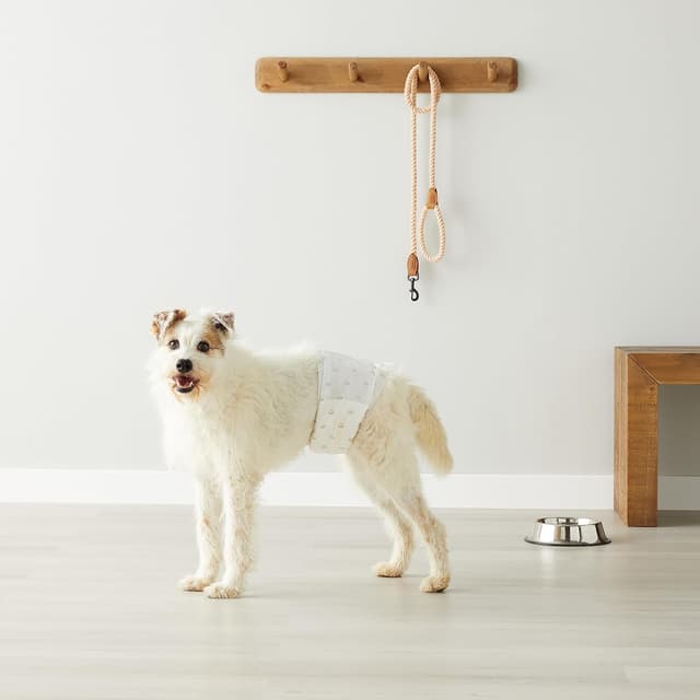 Thumbnail 6 de Amazon Basics Pañales Desechables para Perros Macho M 🐶, paquete de 50