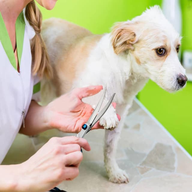 Thumbnail 6 de Dog Grooming Scissors 4-in-1 kit with steel comb ✂