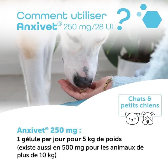 Thumbnail 5 de MP Labo Anxivet 250 mg pour chiens et chats