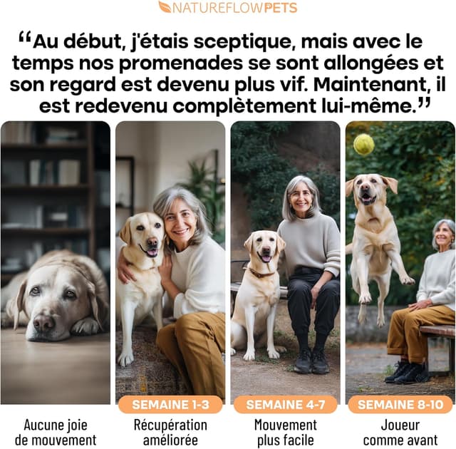 Thumbnail 5 de Complément Arthrose Chien 100 comprimés