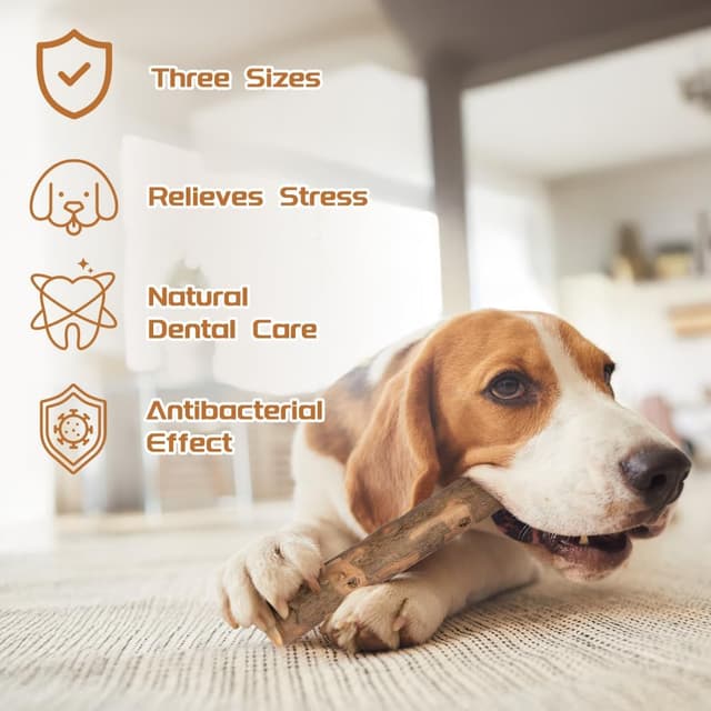 Thumbnail 3 de AYESY Bâton à mâcher Bois de café S pour chien