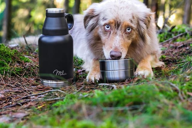 Detalle 2 de Milu Trinkflasche Hunde 950 ml 🚶