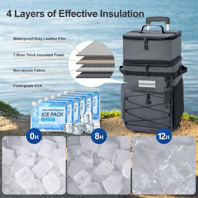 Detalle de Odoland chariot glacière isotherme à roulettes (jusqu’à 72 boîtes) avec sac amovible et packs de glace