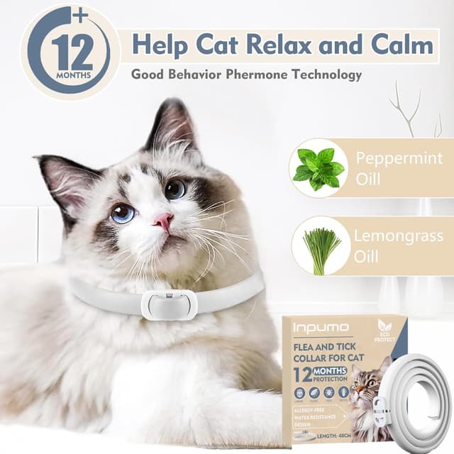 Detalle de Collier anti-puces pour chats réglable et imperméable — protection jusqu’à 12 mois, huiles essentielles