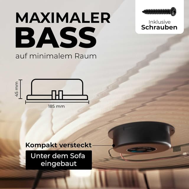 Detalle 2 de Reckhorn Haut-Parleur excitateur 200 W Sinustec St-BS 250 4 Ω