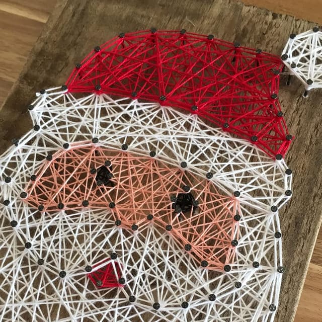 Thumbnail 1 de G2PLUS Red Cotton String Twine 100m