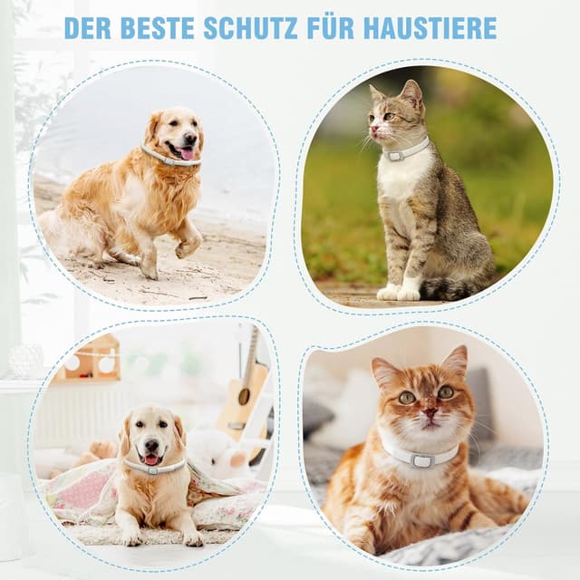 Detalle de DEWEL Zeckenhalsband für Hunde – wasserdicht, verstellbar (bis 63,5 cm) mit ätherischen Ölen – Schutz für 8 Monate (weiß)