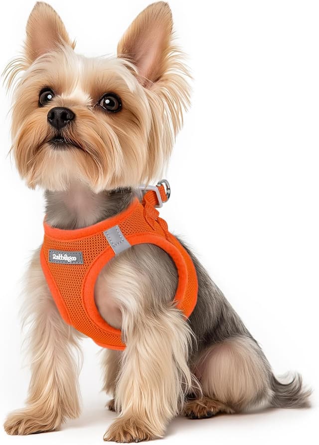 Detalle de rabbitgoo Step-in Soft Mesh Dog Harness (XS) with Reflective Strips – Orange
