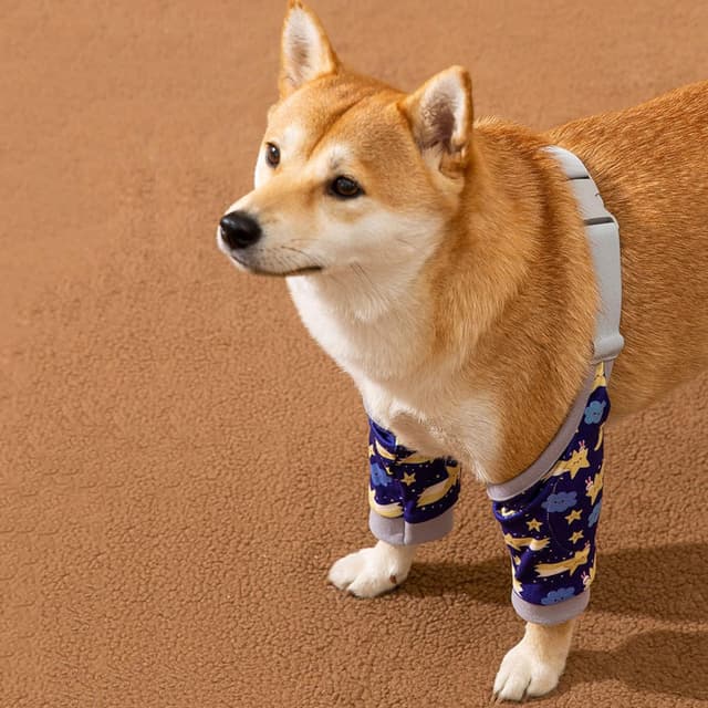 Detalle 1 de Gelenkschutz Vorderbeine 3XL Blau