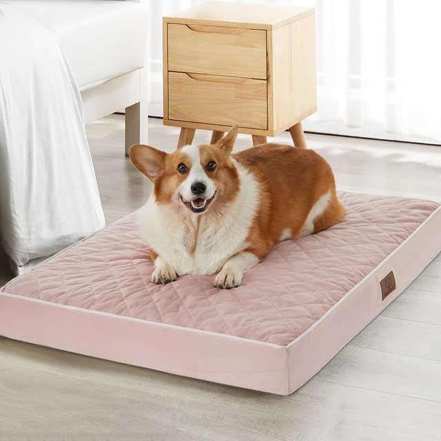 Thumbnail 6 de WNPETHOME Orthopedic Dog Bed XL 42x30x4