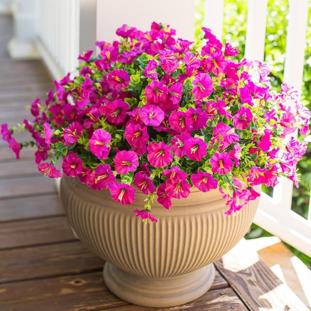 Detalle de HyeFlora 12 Bundles of UV-Resistant Artificial Fuchsia Morning Glory Flowers for Outdoor Planters