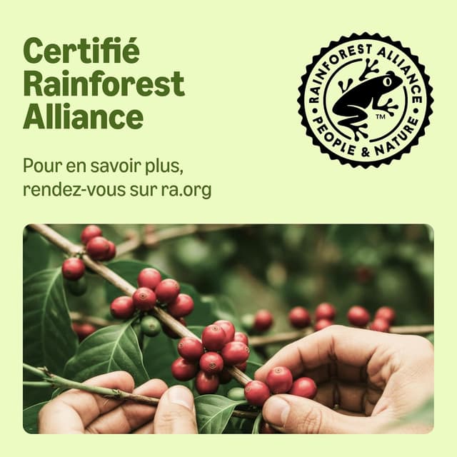 Thumbnail 5 de Capsules Cappuccino Dolce Gusto 24 portions ⚙