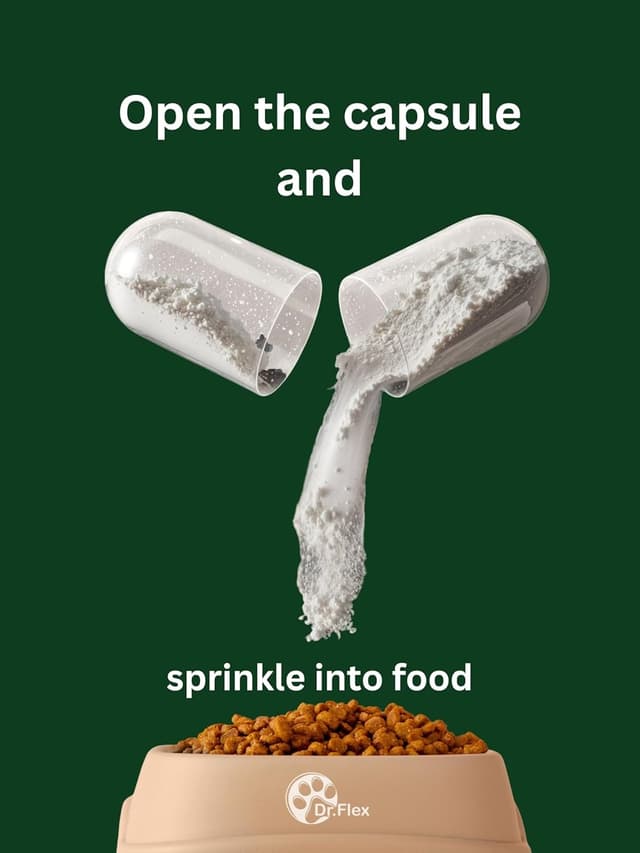 Detalle 2 de Complexe probiotique Dr. Flex pour chiens