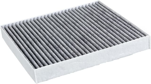 Detalle 2 de Filtre à charbon actif Febi bilstein ADV182513