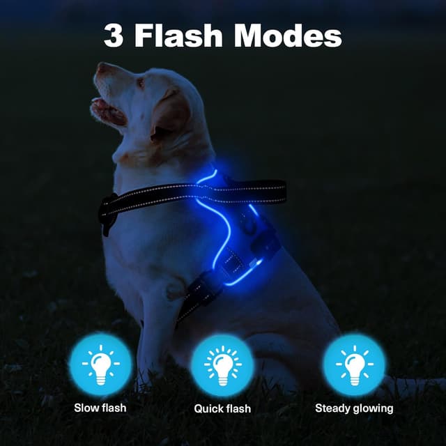 Detalle de MASBRILL Light up Dog Harness Blue XL