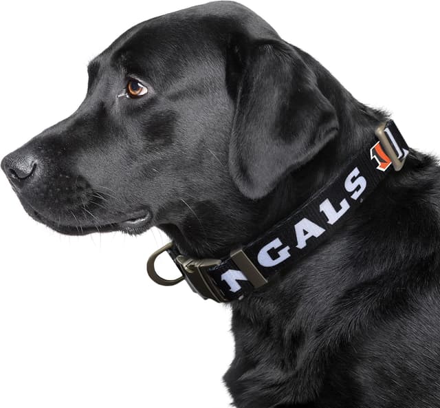 Detalle 2 de Littlearth NFL Cincinnati Bengals Pet Premium Collar (Large) — 100% Polyester