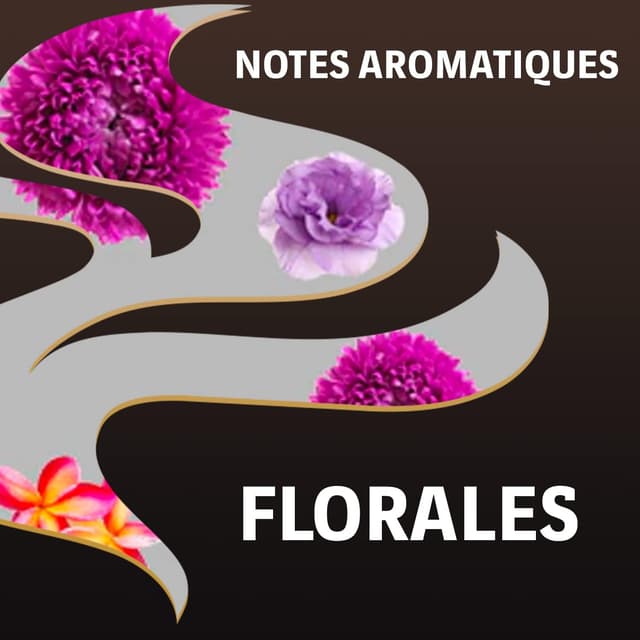 Thumbnail 2 de Lavazza Espresso Barista Perfetto café en grains