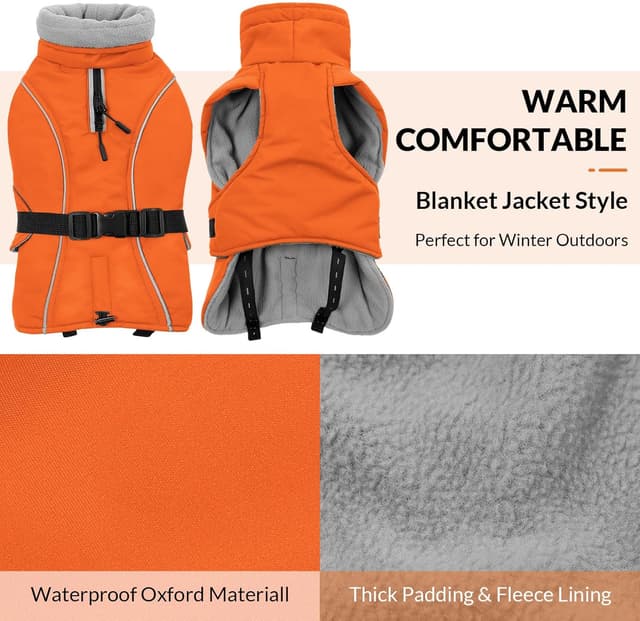 Thumbnail 1 de Queenmore Winter Dog Coat ⚡