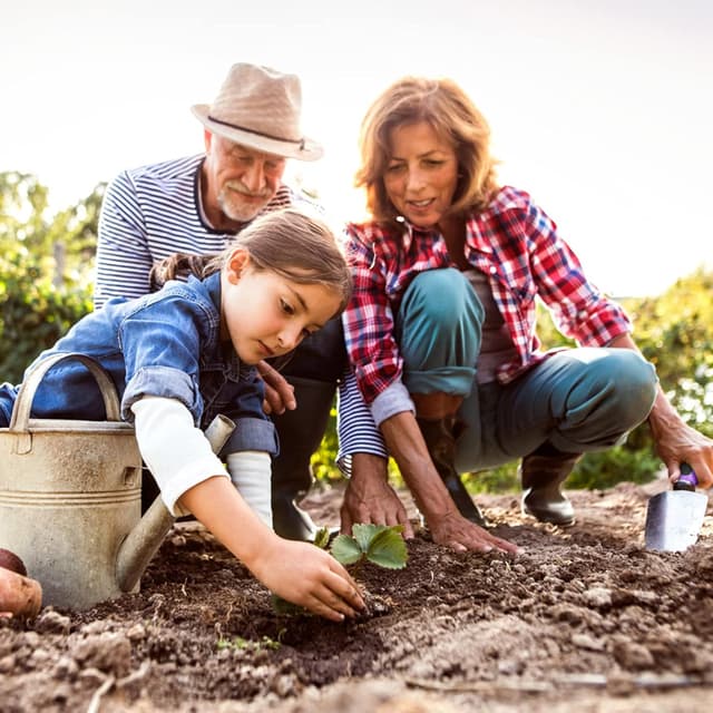 Thumbnail 6 de COVACURE 11 PCS Garden Tools set