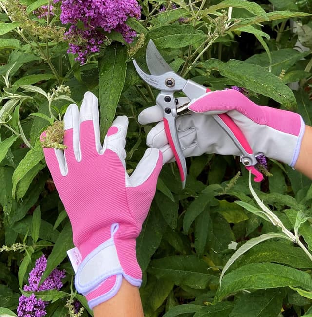 Detalle 2 de Petal Power ladies leather gardening glove (small) & Premier heavy duty secateurs set – pink