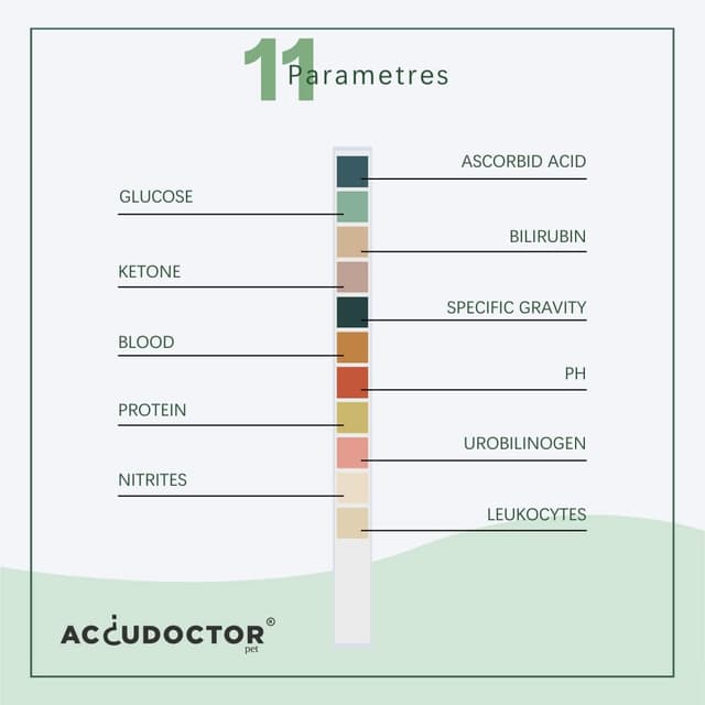 Detalle 1 de AccuDoctor 100 Urin-Teststreifen Haustiere 🐾