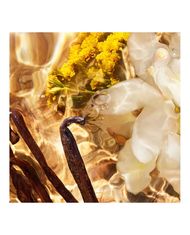 Thumbnail 2 de Guerlain Recarga Eau de Parfum Aqua Allegoria Forte Bosca Vanilla 200 ml