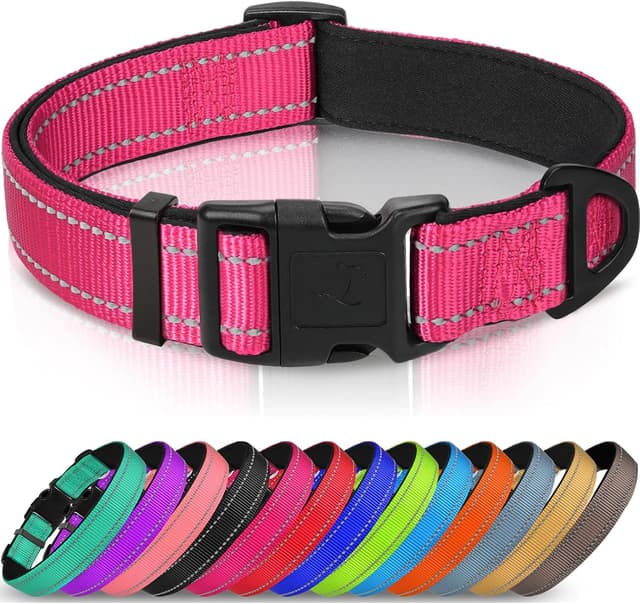 Thumbnail 6 de Joytale Reflective Dog Collar, L black