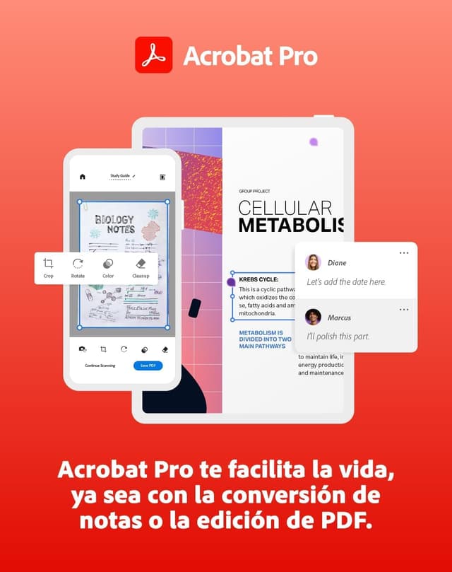 Thumbnail 7 de Adobe Creative Cloud Student | 1 Año | PC/Mac | 🖥️ Descarga Digital